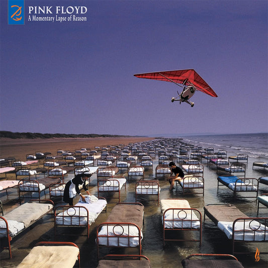 Pink Floyd - A Momentary Lapse of Reason CD