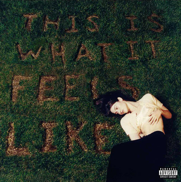 Gracie Abrams – This Is What It Feels Like - LP