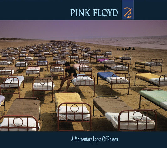 Pink Floyd - A Momentary Lapse of Reason CD