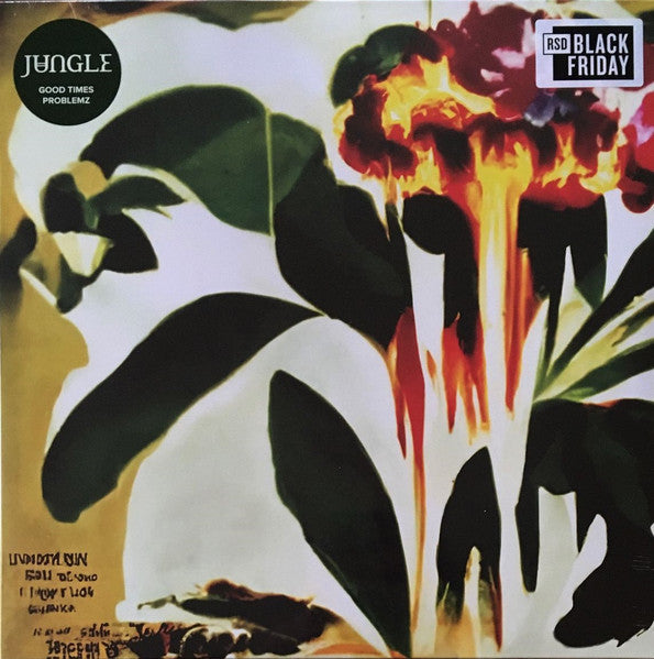 Jungle – Good Times / Problemz - LP