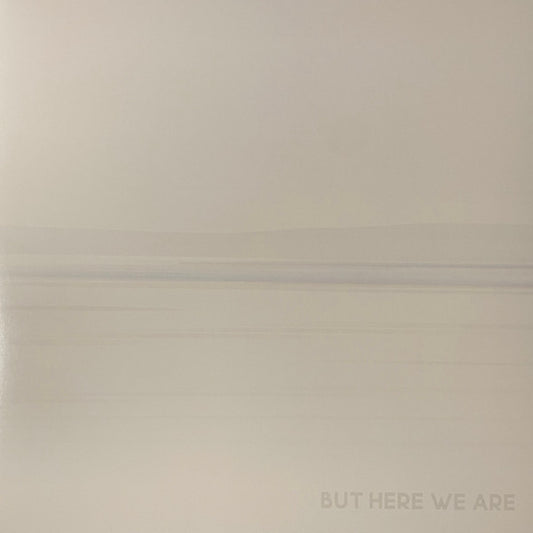 Foo Fighters – But Here We Are - LP