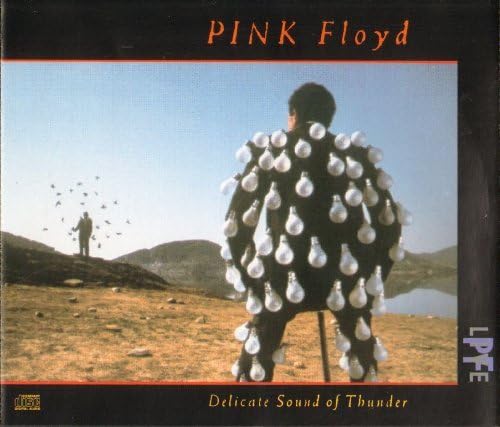 Pink Floyd - Delicate Sound of Thunder CD
