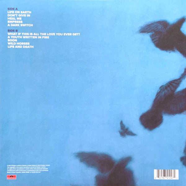 The Vintage Store - Snow Patrol – Wildness - LP